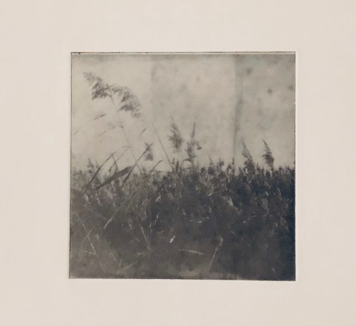 Vajar i vinden - Fotogravyr med fotopolymer