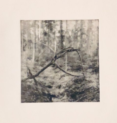 Krokig - Fotogravyr med fotopolymer